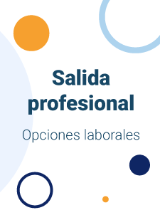 Salida Profesional